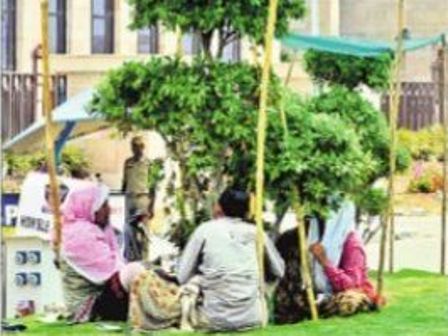 భగభగ ఎండ.. మొక్కల పరదానే అండ !