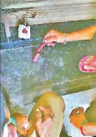 మాంసం దుకాణాలపై దాడులు