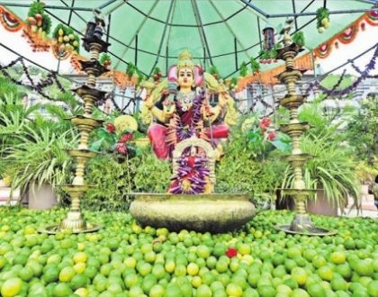 ప్రకృతి మాతా.. పాహిమాం