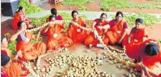 శాకంబరి ఉత్సవాలకు సర్వం సిద్దం