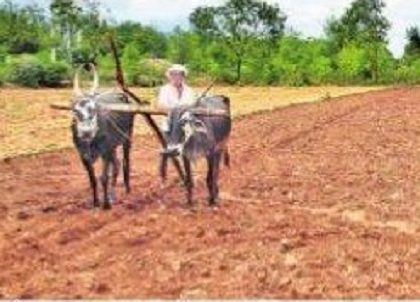 నేడు ఏరువాక పౌర్ణమి