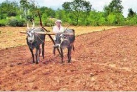 నేడు ఏరువాక పౌర్ణమి