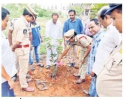ప్రతి ఒక్కరూ మొక్కల్ని నాటాలి