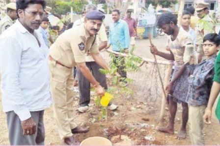 మొక్కలు మానవాళికి అత్యవసరం