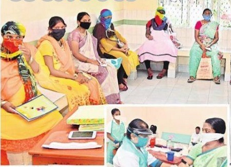 జీవనాడి