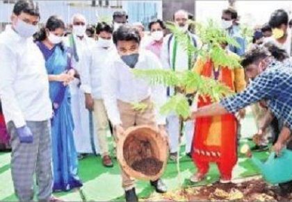 మొక్క నాటడమే కాదు.. పరిరక్షించాలి