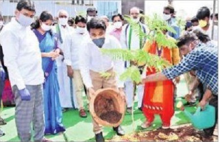 మొక్క నాటడమే కాదు.. పరిరక్షించాలి