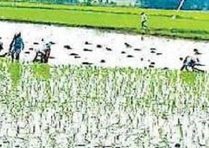 ఊపిరిపోసిన... ముసురు