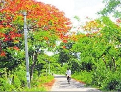 వనమార్గాలు