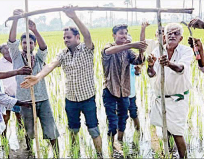 శత్రు పురుగులు, కీటకాల నుండి రక్షణకు పొలాల్లో పక్షి స్థావరాలు ఏర్పాటు చేయాలి