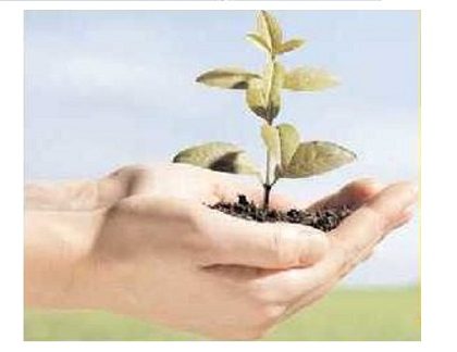 వనమహోత్సవానికి శ్రీకారం