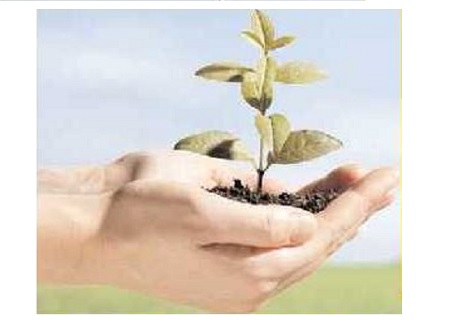 వనమహోత్సవానికి శ్రీకారం