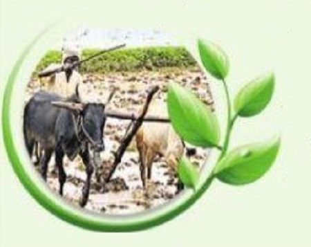 రైతు దినోత్సవం రోజు రైతుల ఖాతాలకు రూ.1,058.80 కోట్లు!
