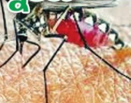 రక్తం పీల్చేస్తున్నాయి