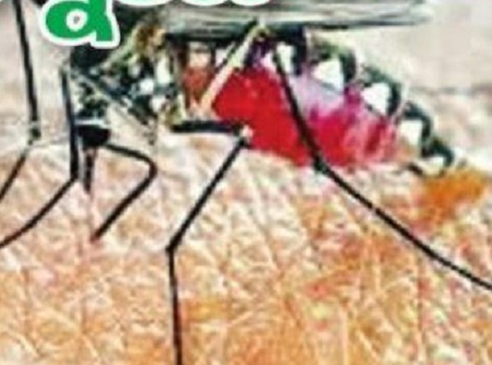 రక్తం పీల్చేస్తున్నాయి