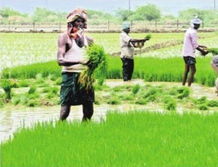 వరుణ నైవేద్యం.. ఆశల సేద్యం