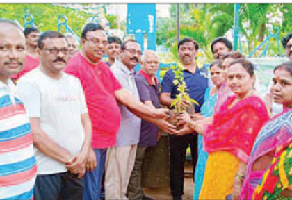 ప్రతి ఇంటి ముందు మొక్కలు నాటాలి