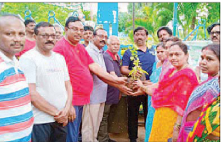 ప్రతి ఇంటి ముందు మొక్కలు నాటాలి