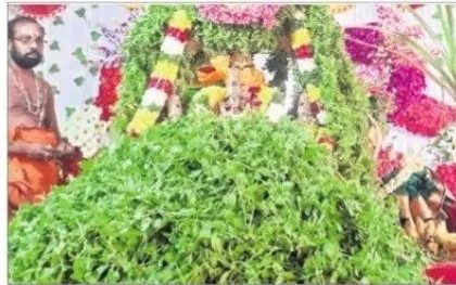 వైభవంగా సాలిగ్రామ తులసీ కళ్యాణం