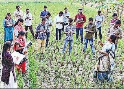 ఉపాధి మార్గం!