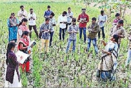 ఉపాధి మార్గం!