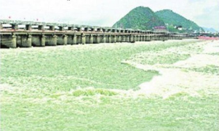 జల విలాసం