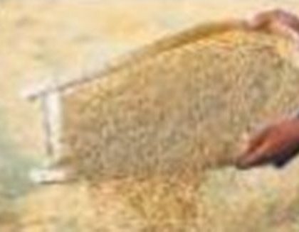 ఇంటి ముంగిటే పంట కొనుగోలు