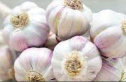 యాంటీబయోటిక్ వెల్లుల్లి