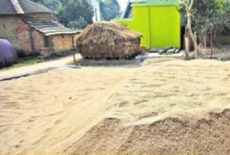 ధాన్యం కొనుగోలుకు ప్రణాళిక