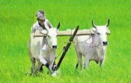 అన్నదాతకు తోడు నీడై
