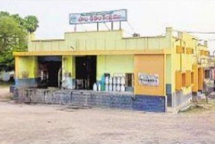 ఇక జిల్లాలో క్షీర విప్లవం