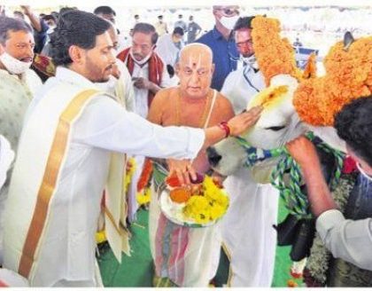 గోమాతకు వందనం