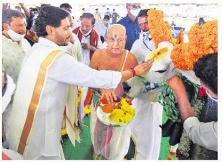 గోమాతకు వందనం