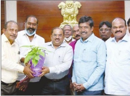 కలెక్టర్‌కు సత్కారం