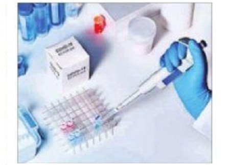కొత్తగా మరో 19 ఆర్టీపీసీఆర్ ల్యాబ్‌లు