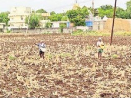 ఖరీఫ్ కు సమాయత్తం