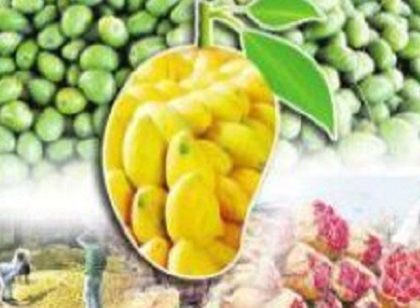 ప్రతి పంటకూ మద్దతు ధర కల్పిస్తున్నాం