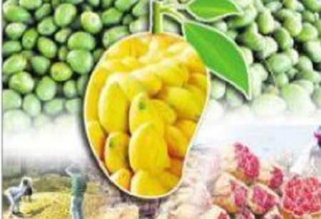 ప్రతి పంటకూ మద్దతు ధర కల్పిస్తున్నాం