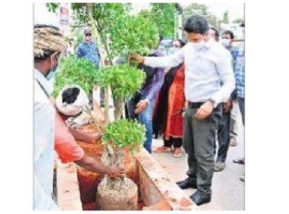 డివైడర్ల సుందరీకరణ