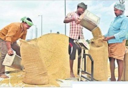 ధాన్యం రైతు ధరహాసం