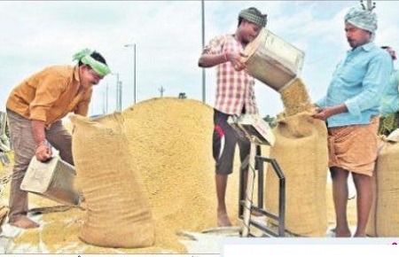 ధాన్యం రైతు ధరహాసం