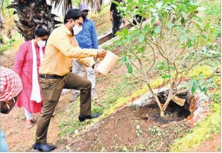 కాల్వగట్లపై 15వేల మొక్కల పెంపకం