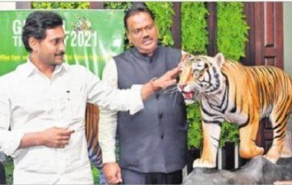 పులుల సంరక్షణ పటిష్టంగా కొనసాగాలి
