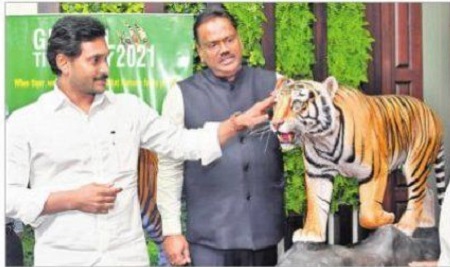 పులుల సంరక్షణ పటిష్టంగా కొనసాగాలి