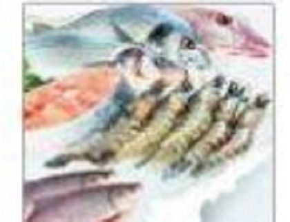 మీనమే వస్తుంది... మన ఇంటికి..
