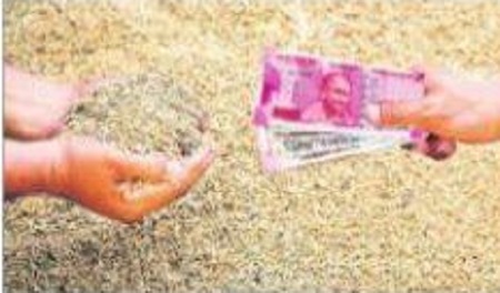 ధాన్యం రైతుకు దన్ను