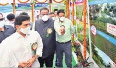 యజ్ఞంలా చెట్ల పెంపకం