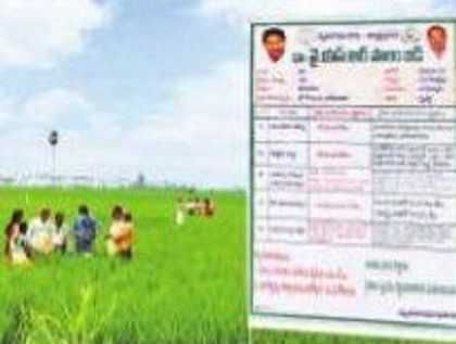 పంటలకు 'ధ్రువీకరణ' ధీమా