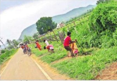 ప్రకృతికి పచ్చందం
