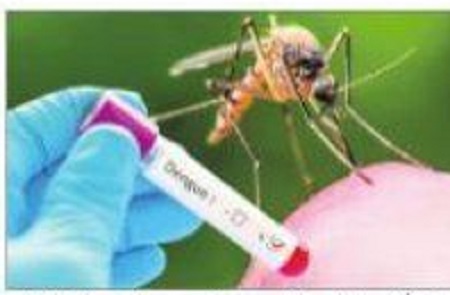 డెంగీపై ప్రభుత్వం అప్రమత్తం